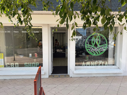 Amné'zia Cbd Shop Plérin, Magasin De Cbd à Plérin