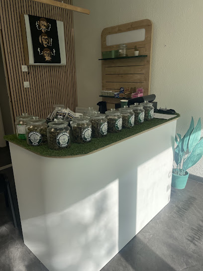 Greenpowershop, Magasin De Cbd à Strasbourg