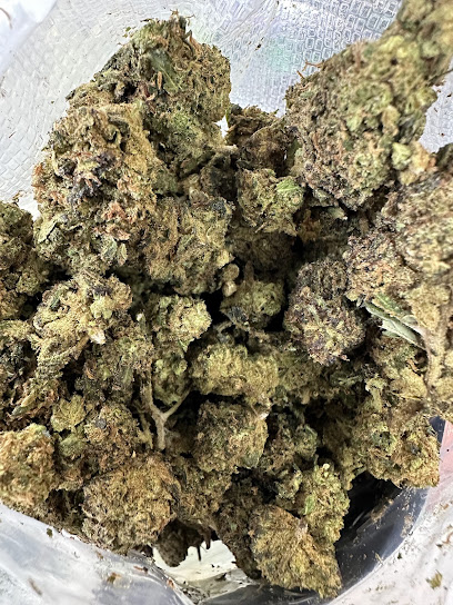 Good Cbd Saint Lazare Cbd Shop Thcx Hct Paris 8Eme, Magasin De Cbd à Paris 08