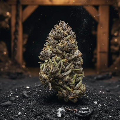 Hollyweed Cbd | Cbd En Ligne | Producteur Cbd Indoor & Outdoor, Magasin De Cbd à Auchel