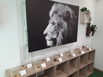 Bouddha Cbd Shop, Magasin De Cbd à Dieppe